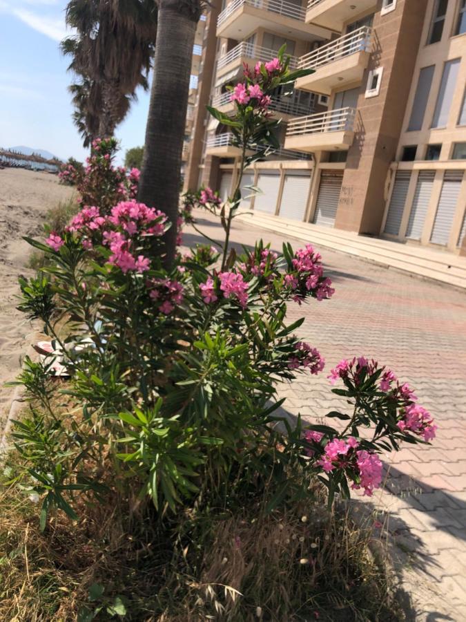 Vlore Apartment Luaran gambar