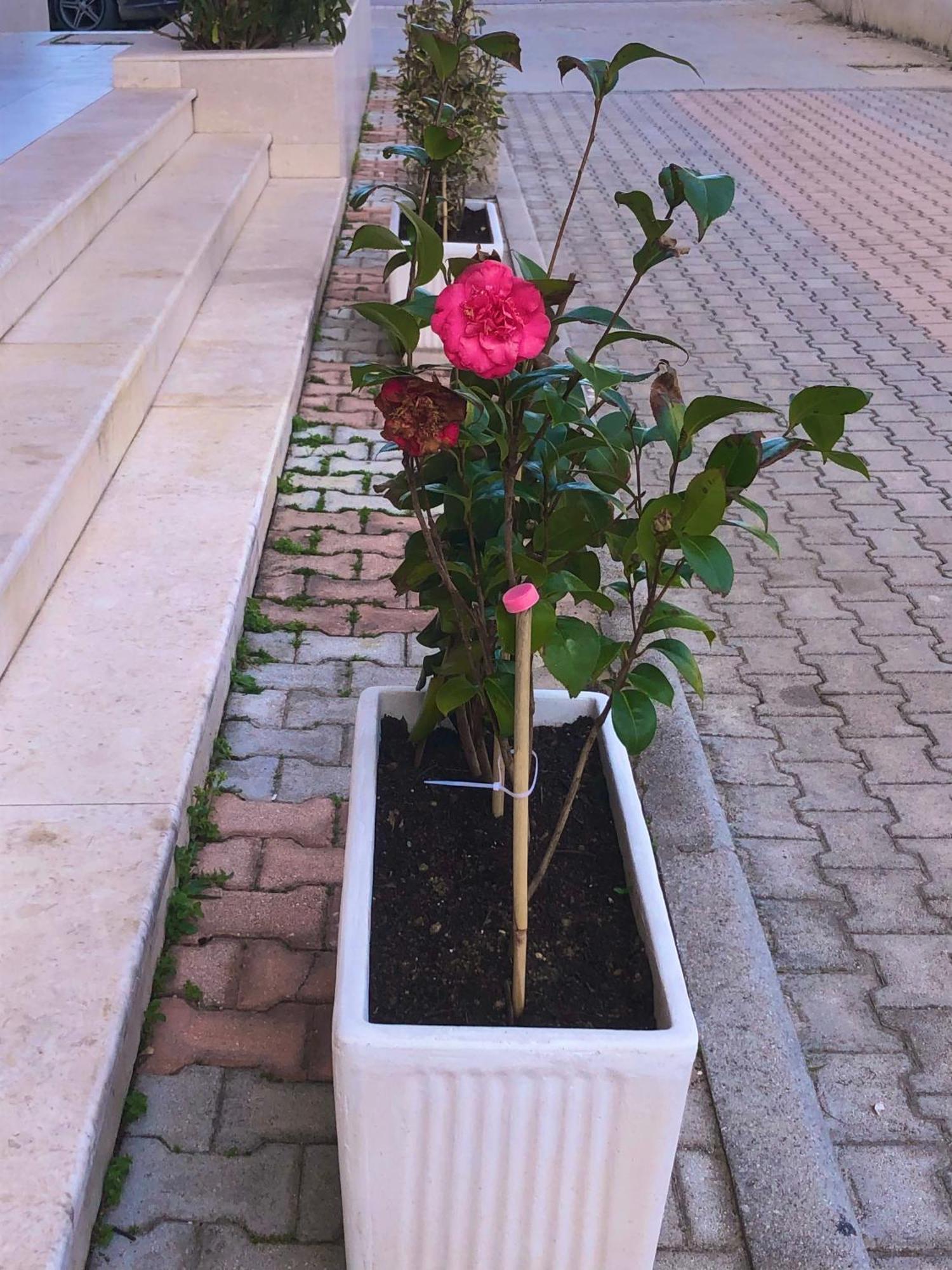 Vlore Apartment Luaran gambar